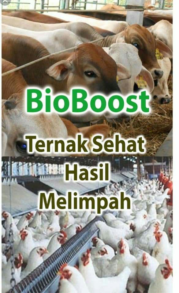 photo_2022-10-06_17-31-02a